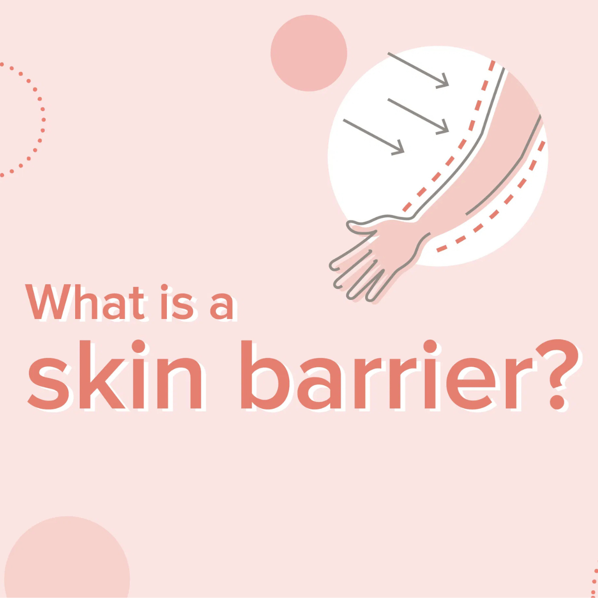 Skin Barrier Repair: Η Viral Τάση του 2025 για Υγιές & Ανθεκτικό Δέρμα ✨