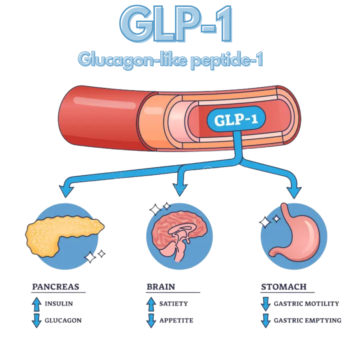 Όλοι μιλούν για τα GLP-1: Η αλήθεια για τη δωρεάν πρόσβαση✨