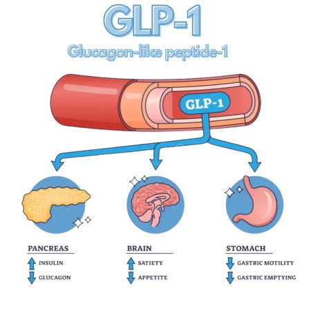 Όλοι μιλούν για τα GLP-1: Η αλήθεια για τη δωρεάν πρόσβαση✨