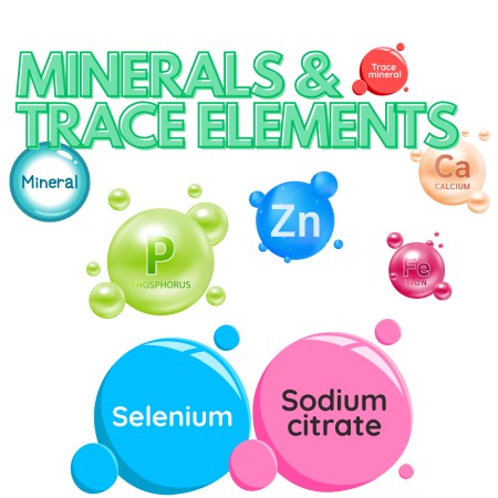 Μέταλλα & Ιχνοστοιχεία